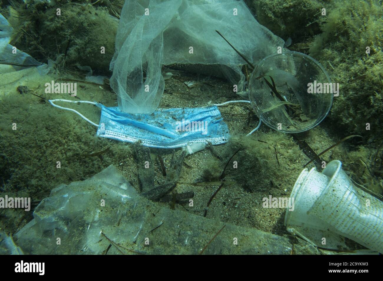 Золотая лежит на дне. Пластик на дне океана. Пластик в океане. Микропластик в океане.