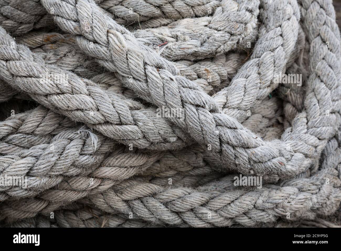 Closeup view of fisherman's rope piled in harbour of Clovelly, Devon UK ...