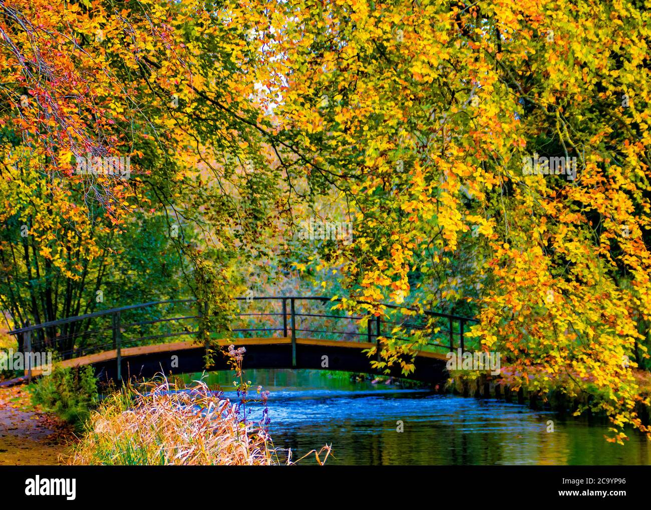 Peaceful autumn river scene hi-res stock photography and images - Alamy