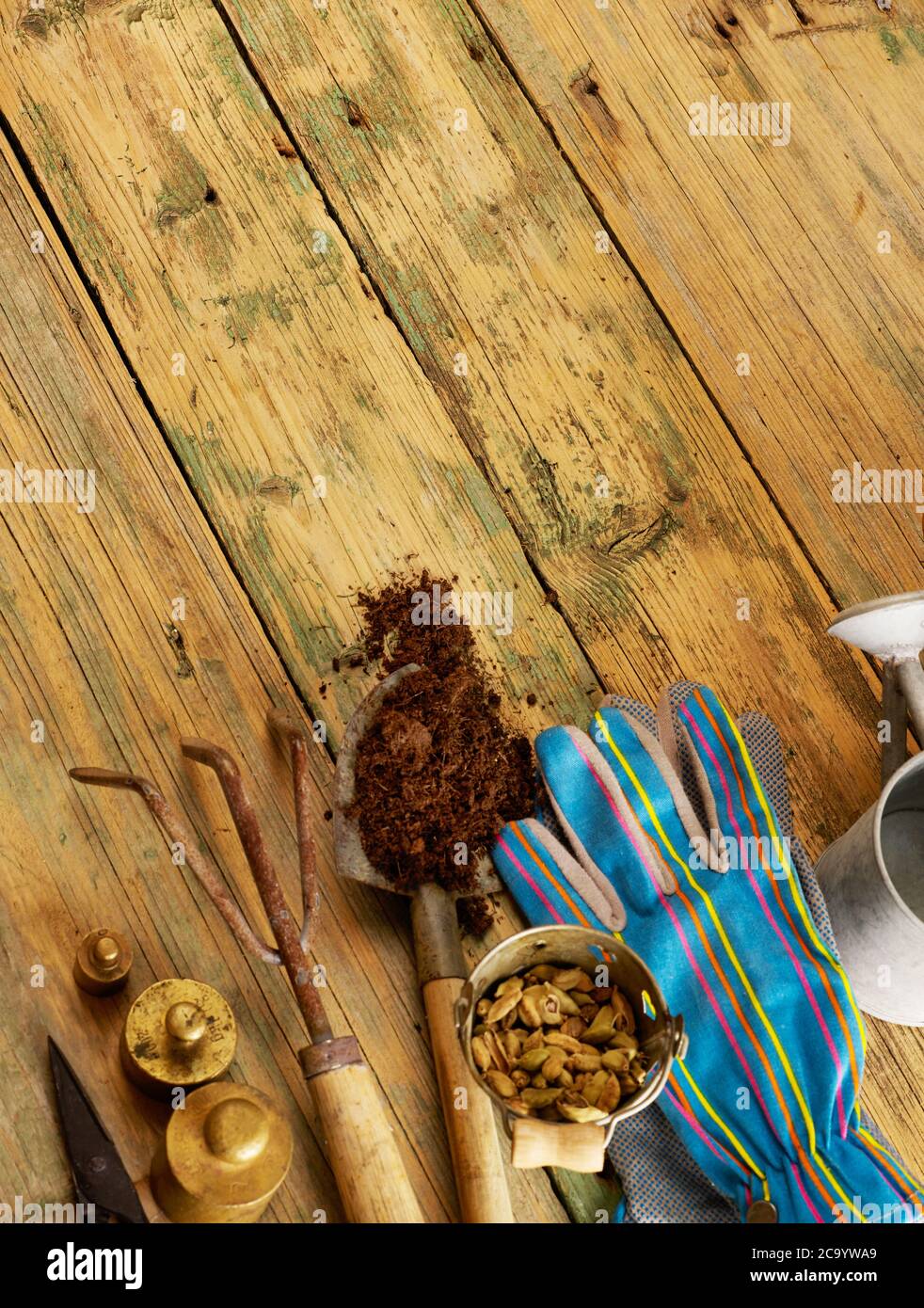 Gardening tools on wood with copy space Stock Photo