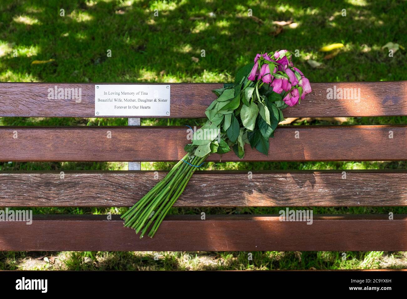 A bouquet of wilting roses attached to a memorial bench in a park. Stock Photo