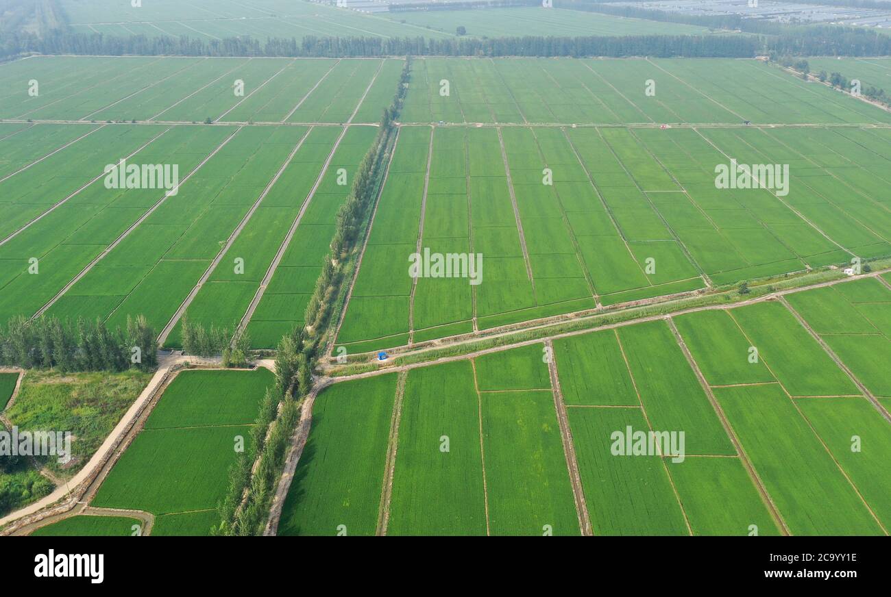 Artificial crabs hi-res stock photography and images - Alamy