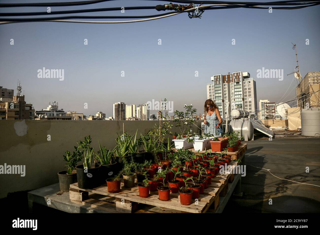26 July 2020, Lebanon, Beirut 50year old Lebanese Manal Addada waters