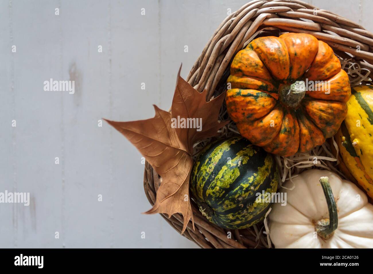 Top view of Basket with pumpkins on rustic table Stock Photo