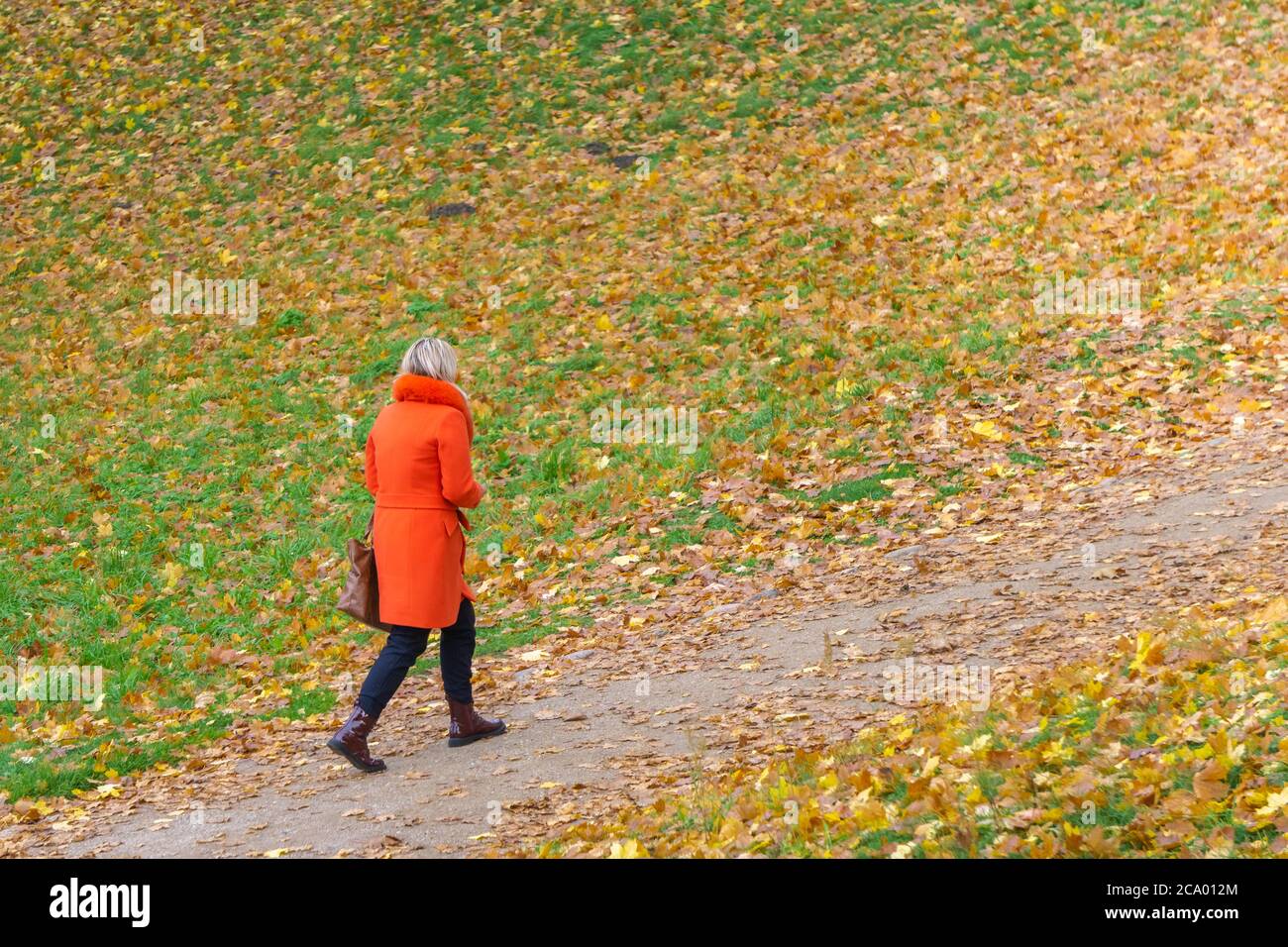 Woman in red coat walking on path in meadow, full of colorful autumn leaves. Female in red on autumnal field background. Copy space. Human autumn colo Stock Photo