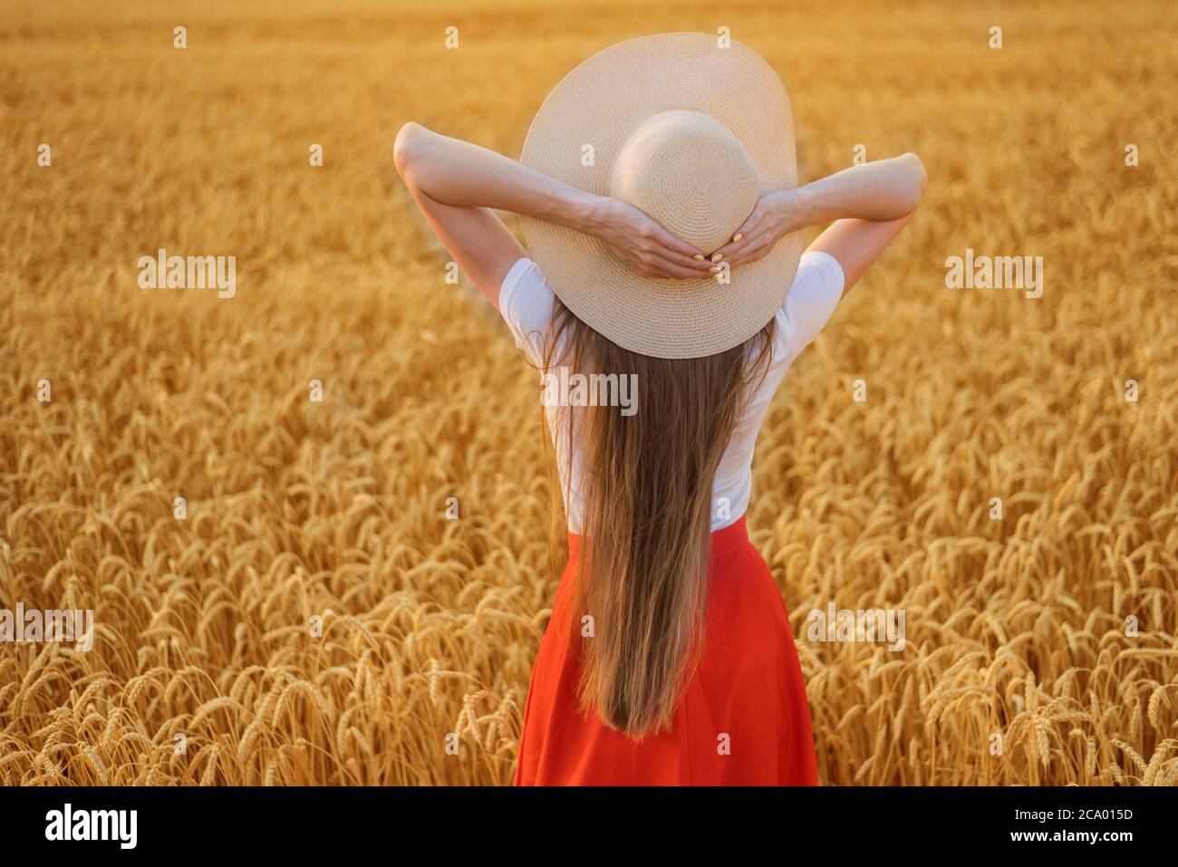 Young woman with long hair in hat on wheat field background. Hands ...