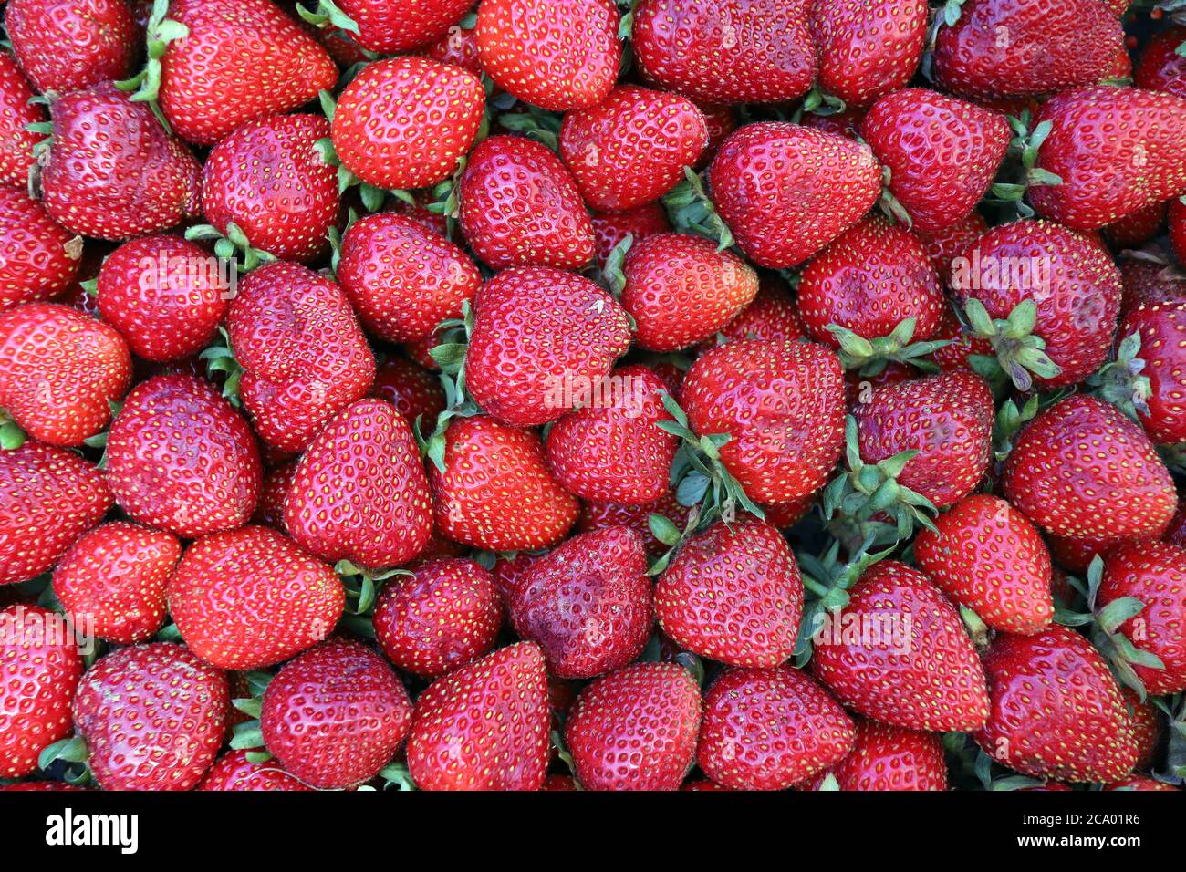 Strawberries full frame. Strawberry pattern. Stock Photo