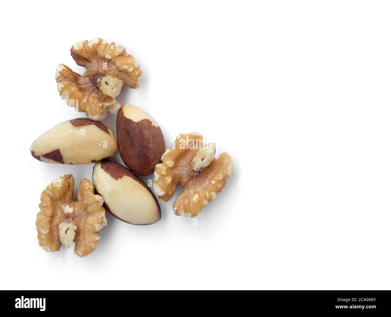 Brazil nuts and walnuts on a white background Stock Photo Alamy