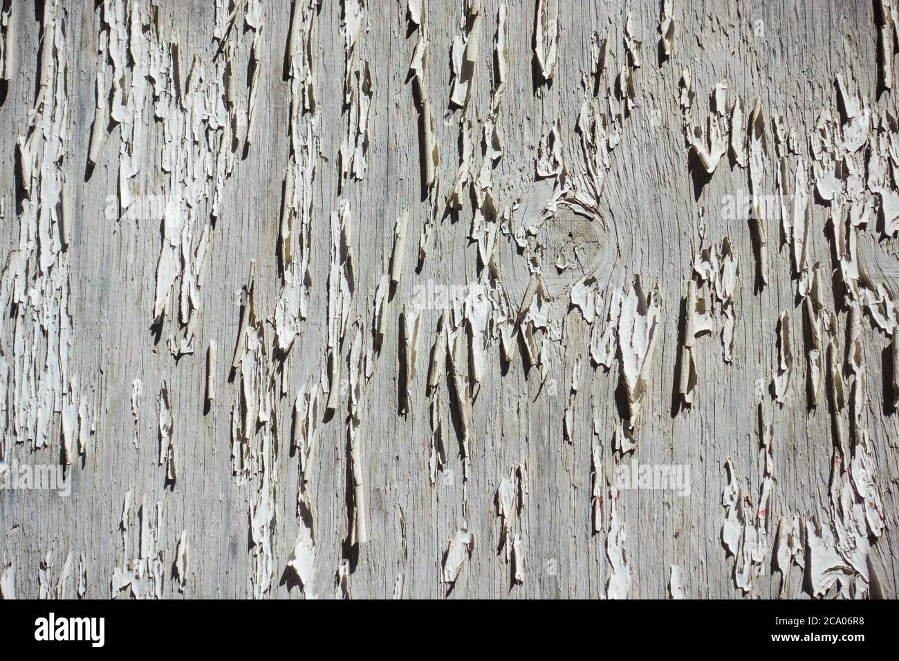 Abstract background grey with lots of texture and shadow Stock Photo
