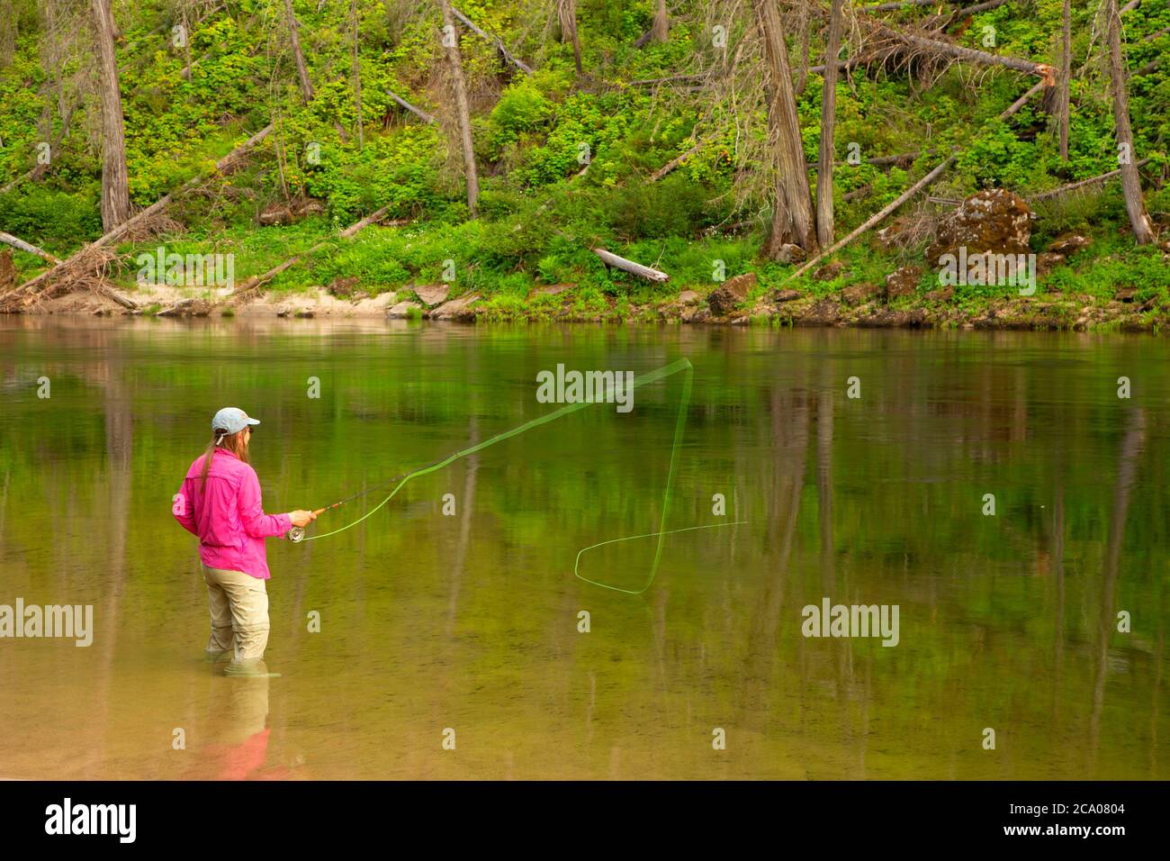 Flyfishing, Selway Wild and Scenic River, Nez Perce National Forest