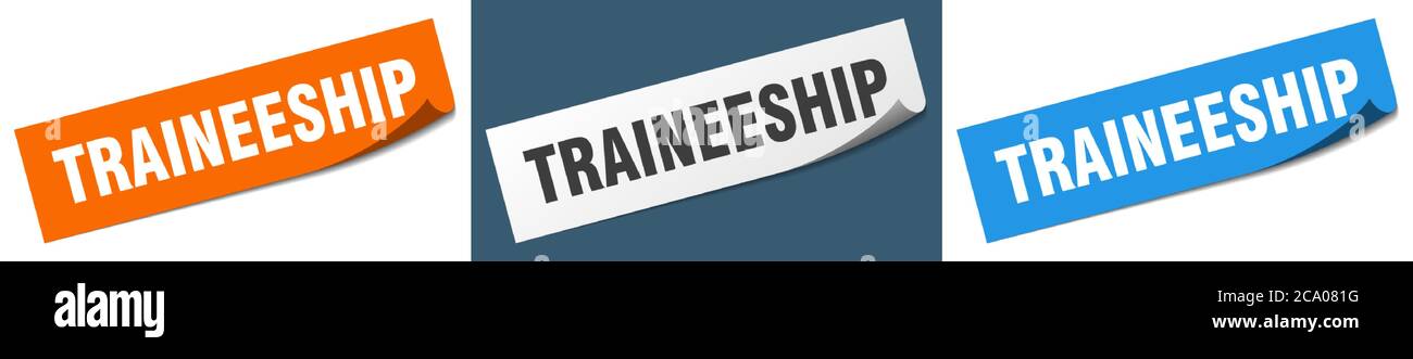 traineeship paper peeler sign set. traineeship sticker Stock Vector