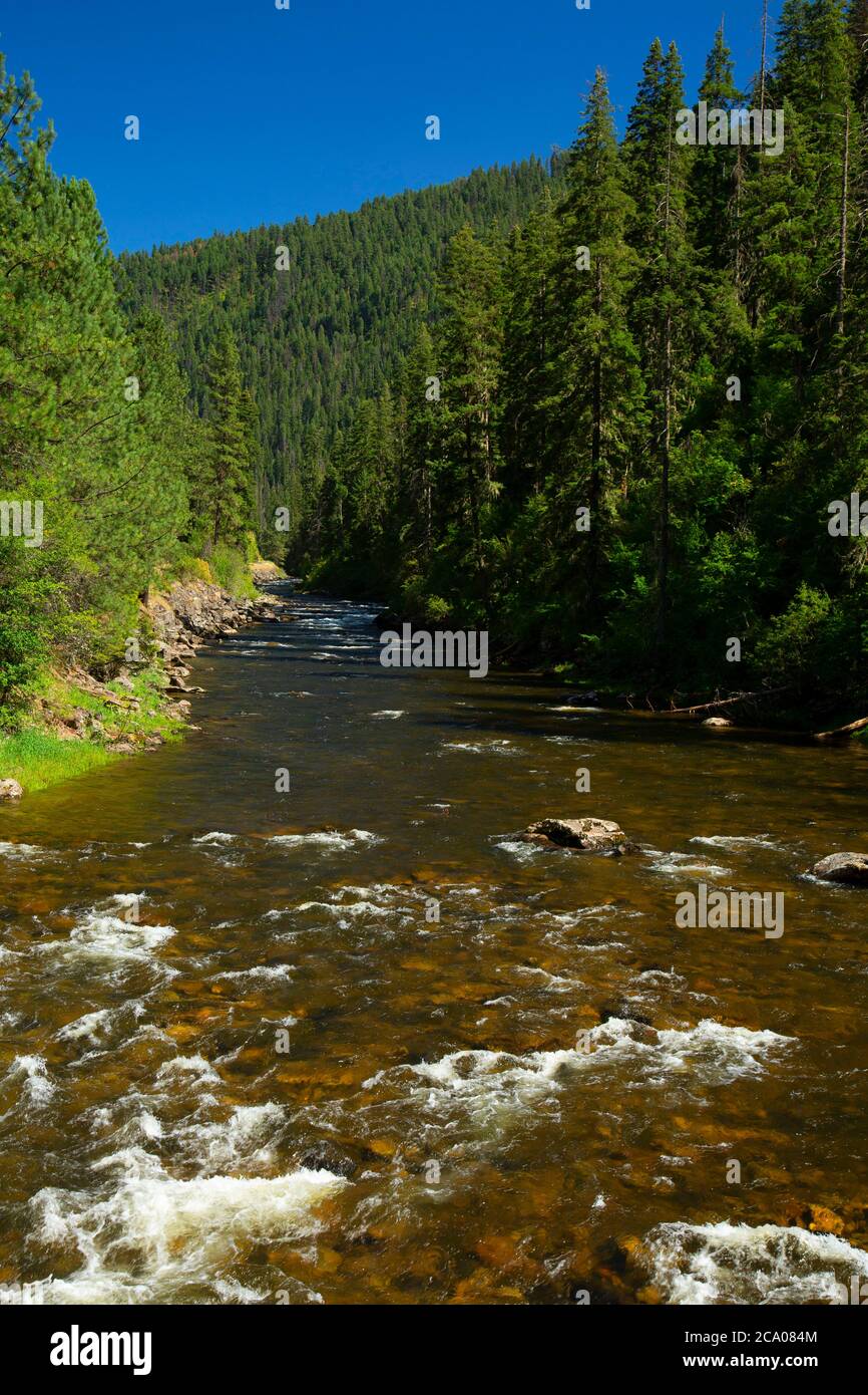 South Fork Clearwater River, Nez Perce National Forest, Idaho Stock