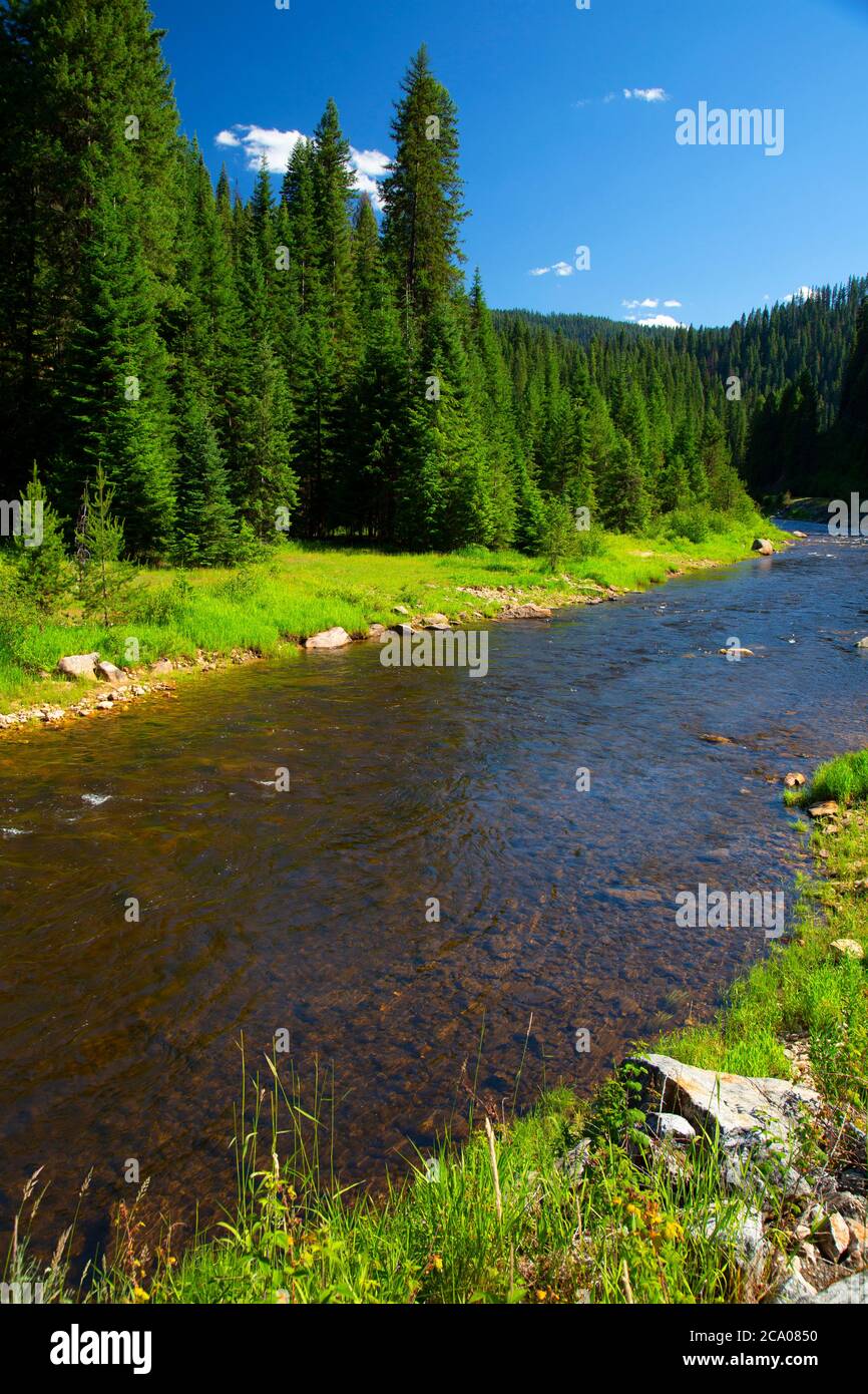 South Fork Clearwater River, Nez Perce National Forest, Idaho Stock