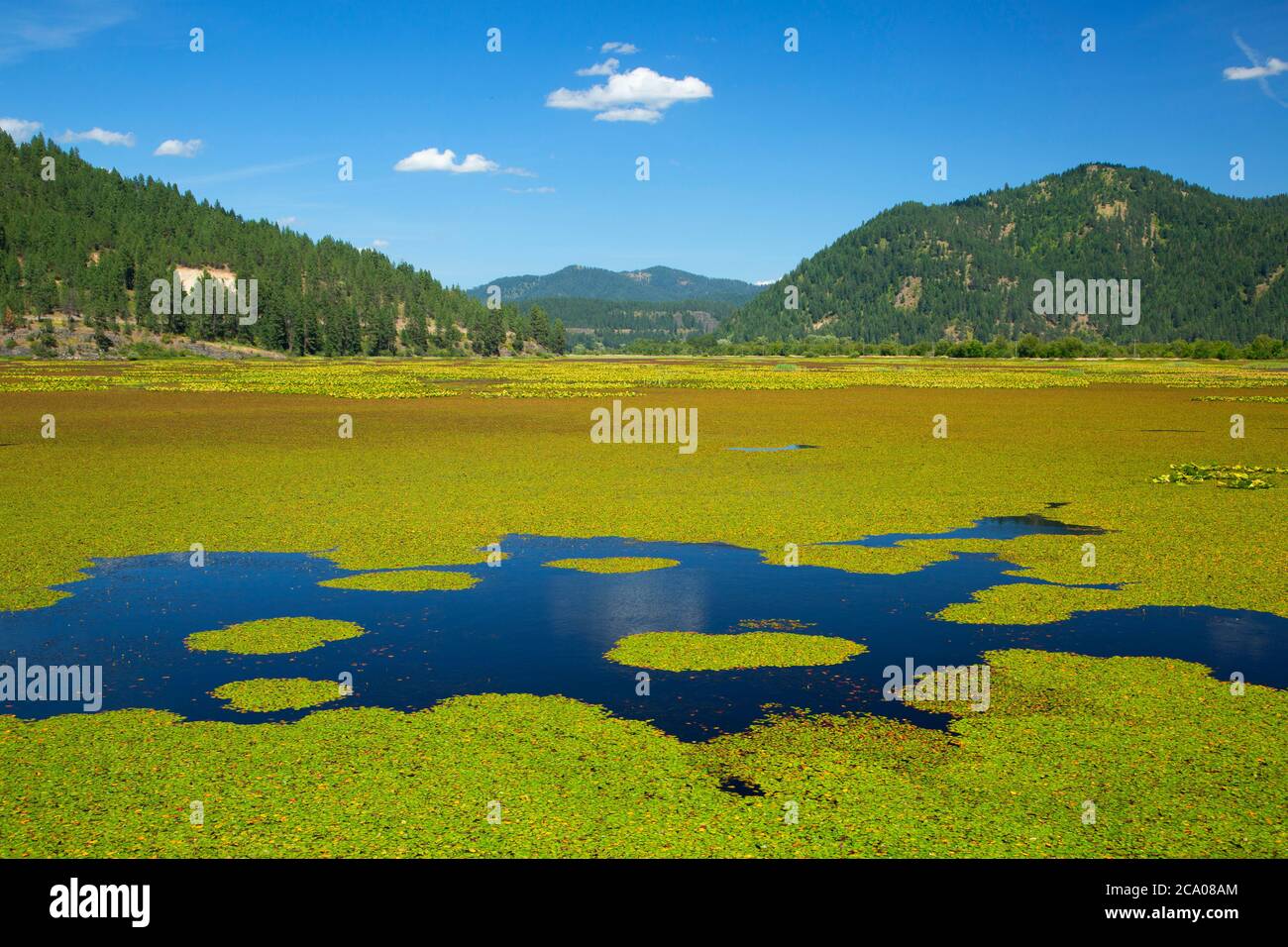 Thompson Lake, Coeur d'Alene River Wildlife Management Area, Lake Coeur d'Alene Scenic Byway, Idaho Stock Photo