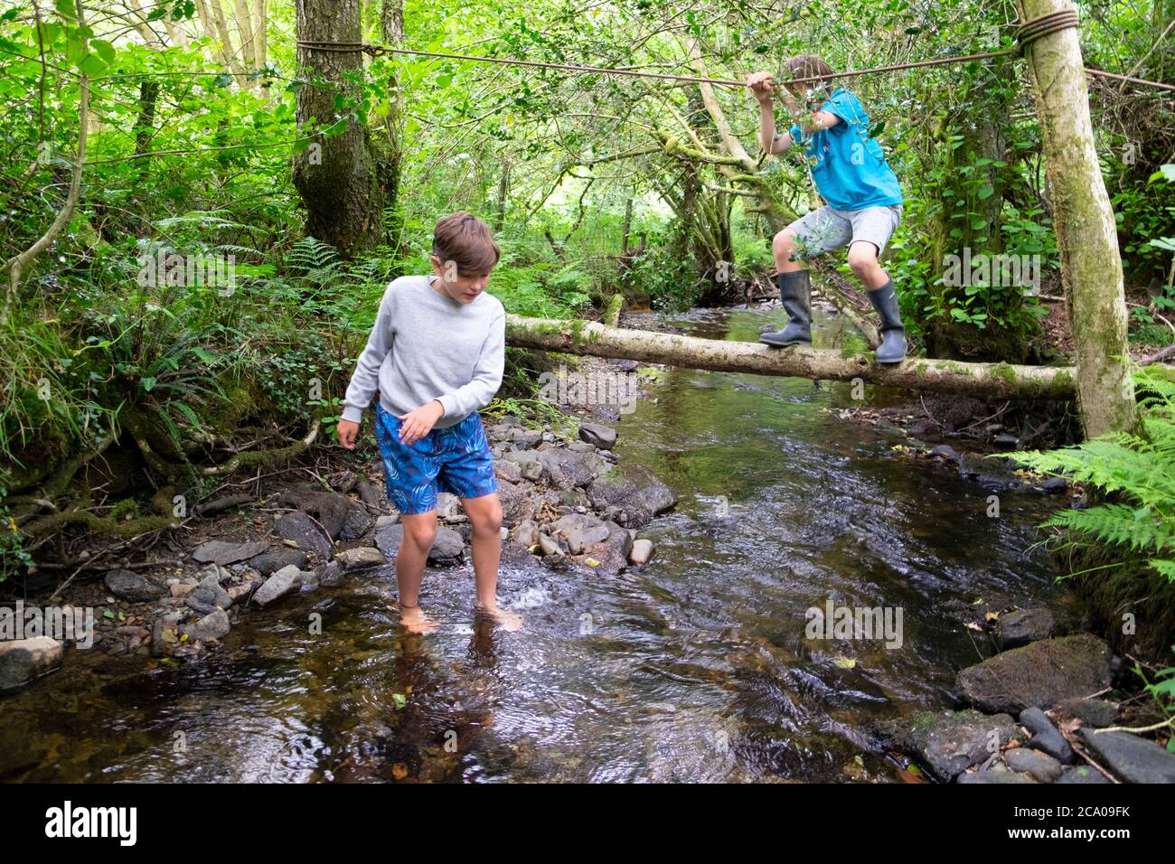 Boys children kids on summer holiday after lockdown playing in stream in leafy wooded countryside on staycation Carmarthenshire Wales UK  KATHY DEWITT Stock Photo