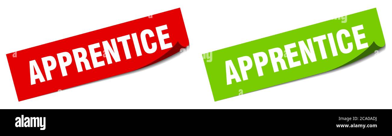apprentice paper peeler sign set. apprentice sticker Stock Vector
