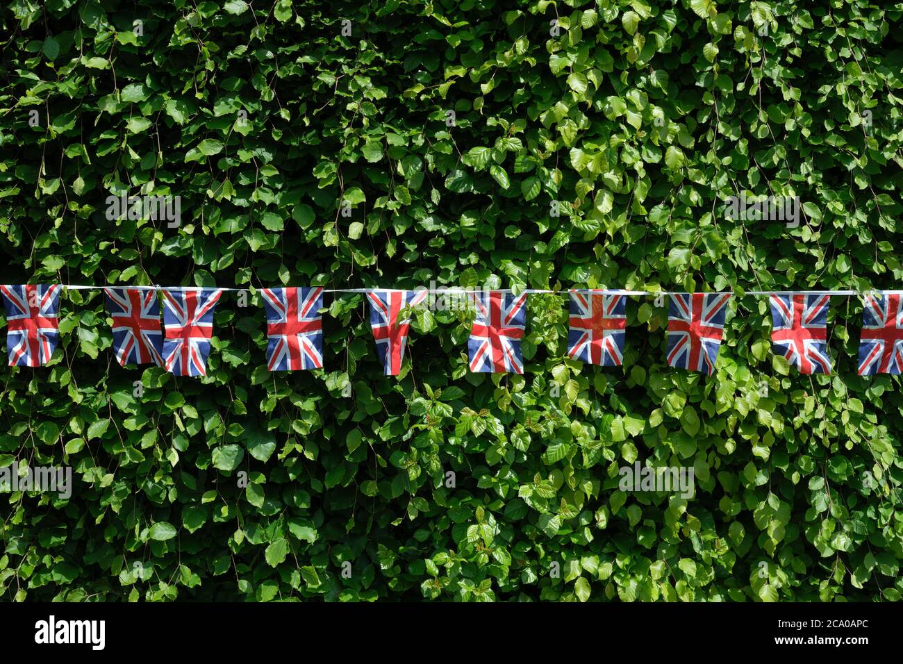 V E Day 2020 Union Jack bunting decorating a garden hedge of a house on a rural residential street during Coronavirus lockdown Surrey England UK Stock Photo