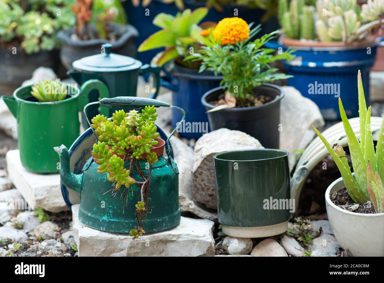 Reduce, reuse, recycle planter, craft ideas. Second-hand kettles, saucepans, old teapots turn into garden flower pots. Recycled amazing garden design and low-waste lifestyle. Stock Photo
