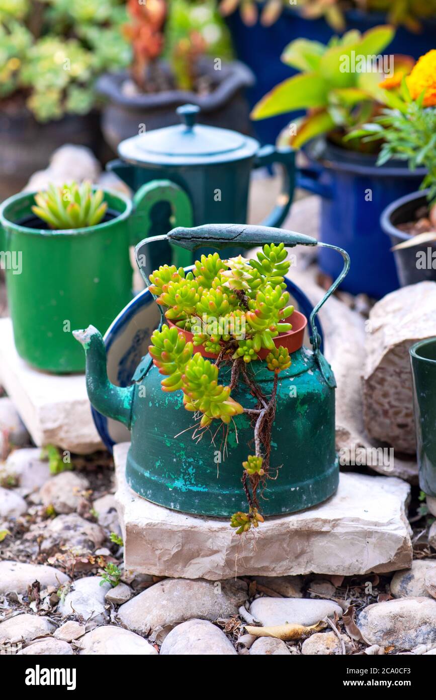 Reused planter ideas. Second-hand kettles, saucepans, old teapots turn into garden  flower pots. Recycled garden design and low-waste lifestyle Stock Photo -  Alamy