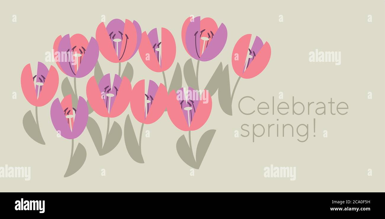Cute elegant pastel rosy tulip element for card, header, invitation