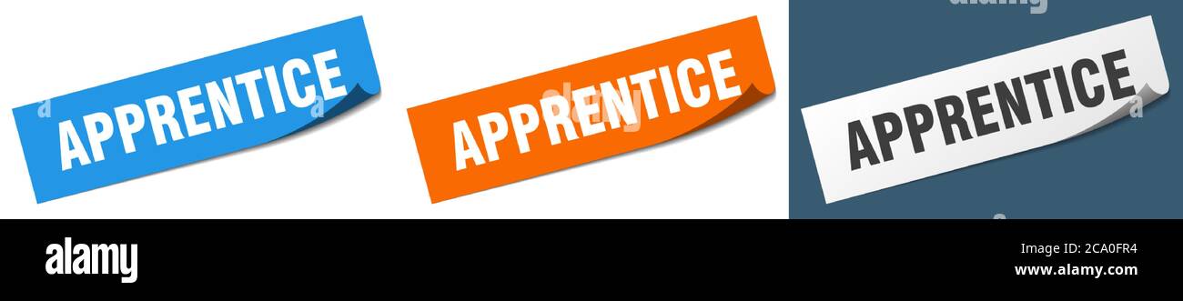 apprentice paper peeler sign set. apprentice sticker Stock Vector