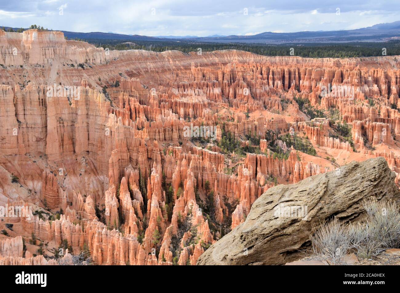 Late afternoon sunlight bathes surrealistic landforms at Bryce Canyon National Park in Utah Stock Photo
