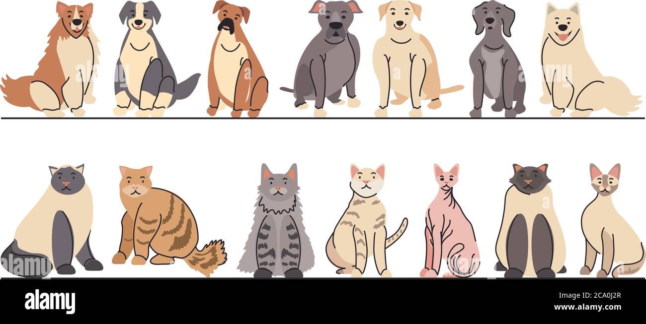 set of pets, different breeds of dogs and cats vector illustration ...