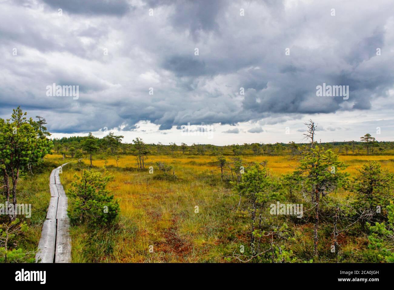 Pyhtää Beatiful swamp landscape with dramatic clouds in Valkmusa national park ...