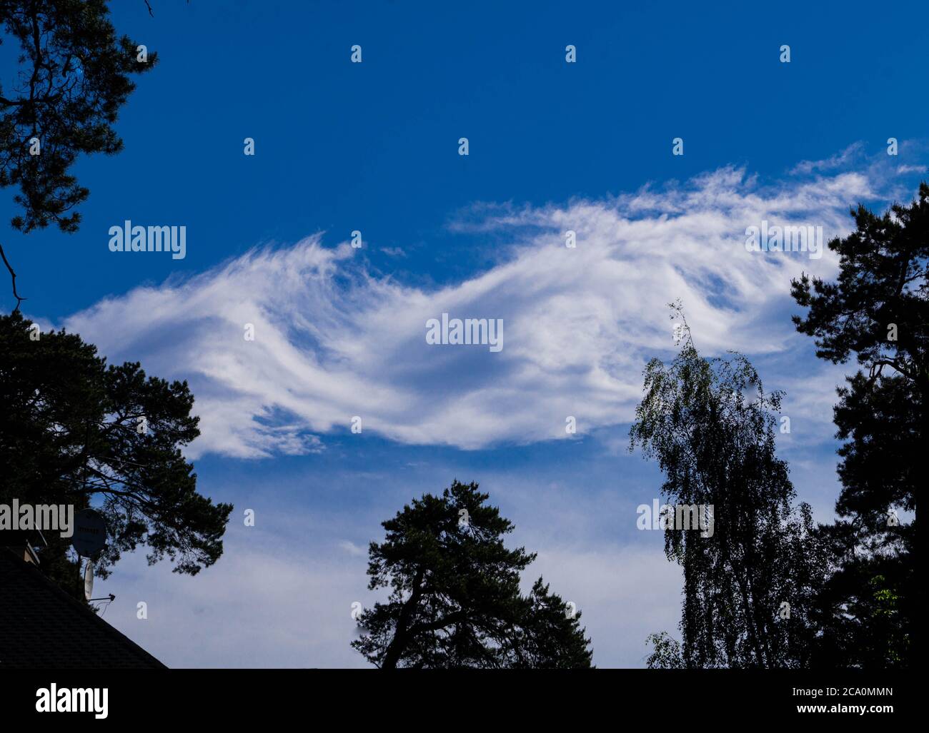 Blue sky and beautiful white cloud on the background of trees Stock ...