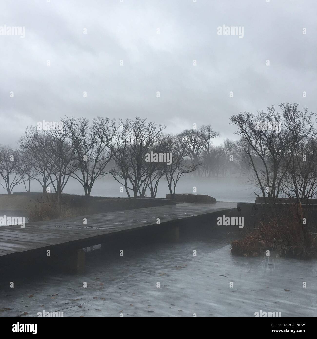 View of a foggy day Stock Photo - Alamy