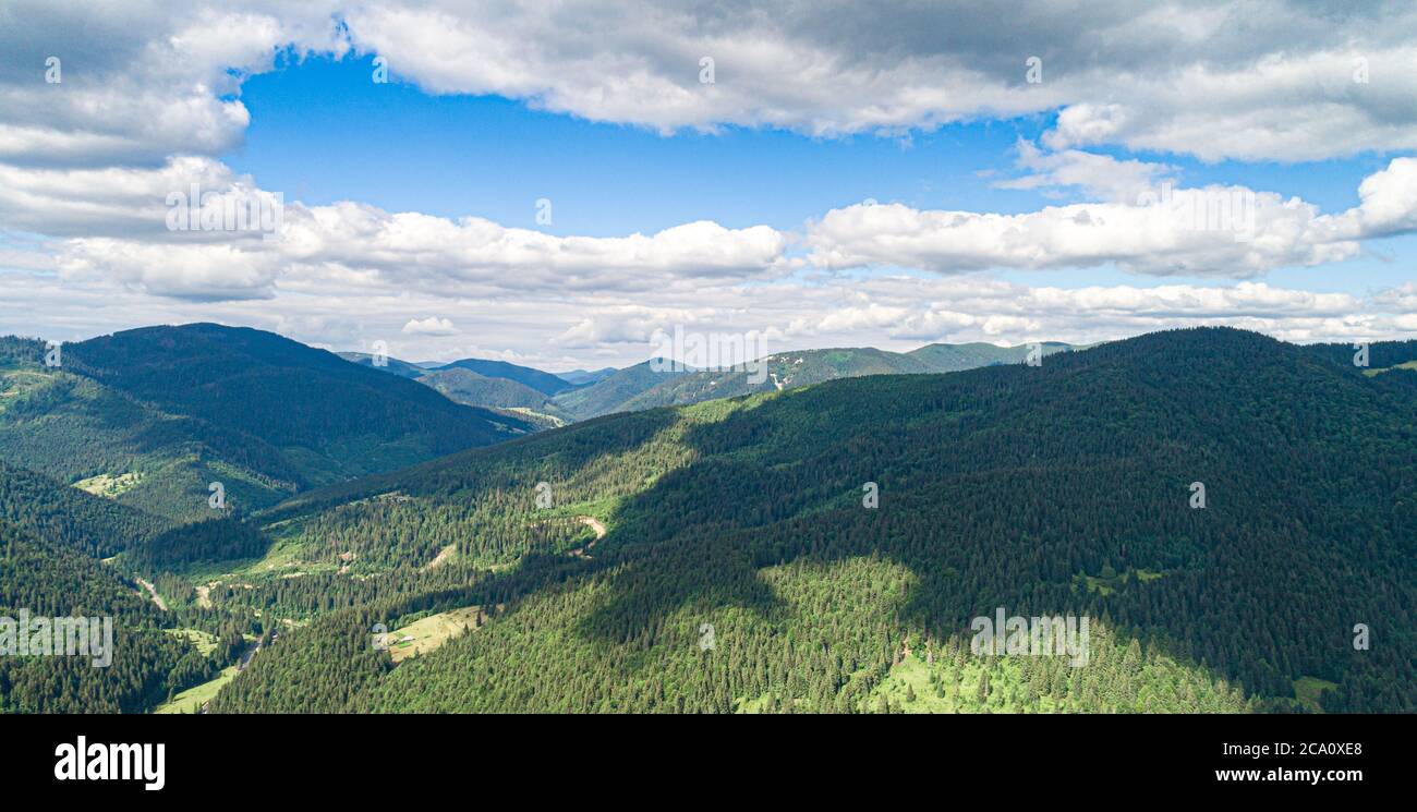 Beautiful pine trees on background high mountains Stock Photo - Alamy