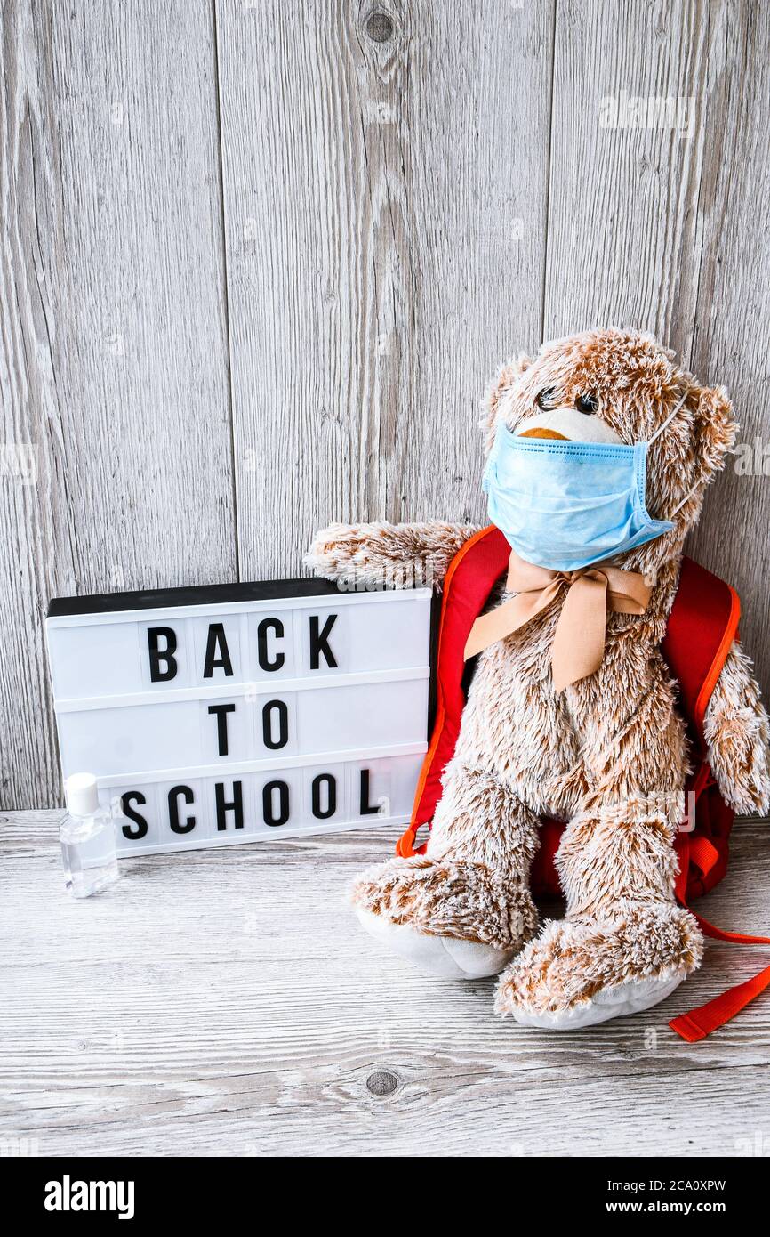 Bear wearing clearance backpack