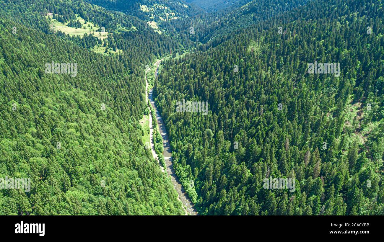 Forest and river from a bird's eye view. Photo from the drone. Stock Photo