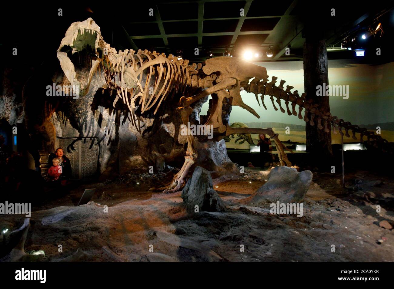 Stockholm museum of natural history hi-res stock photography and images ...