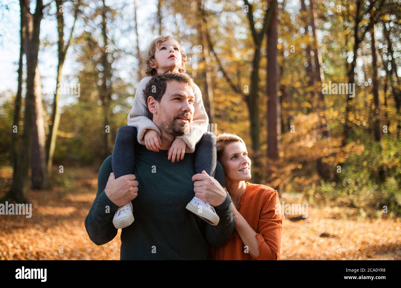 Beautiful young family with small daughter on a walk in autumn forest ...