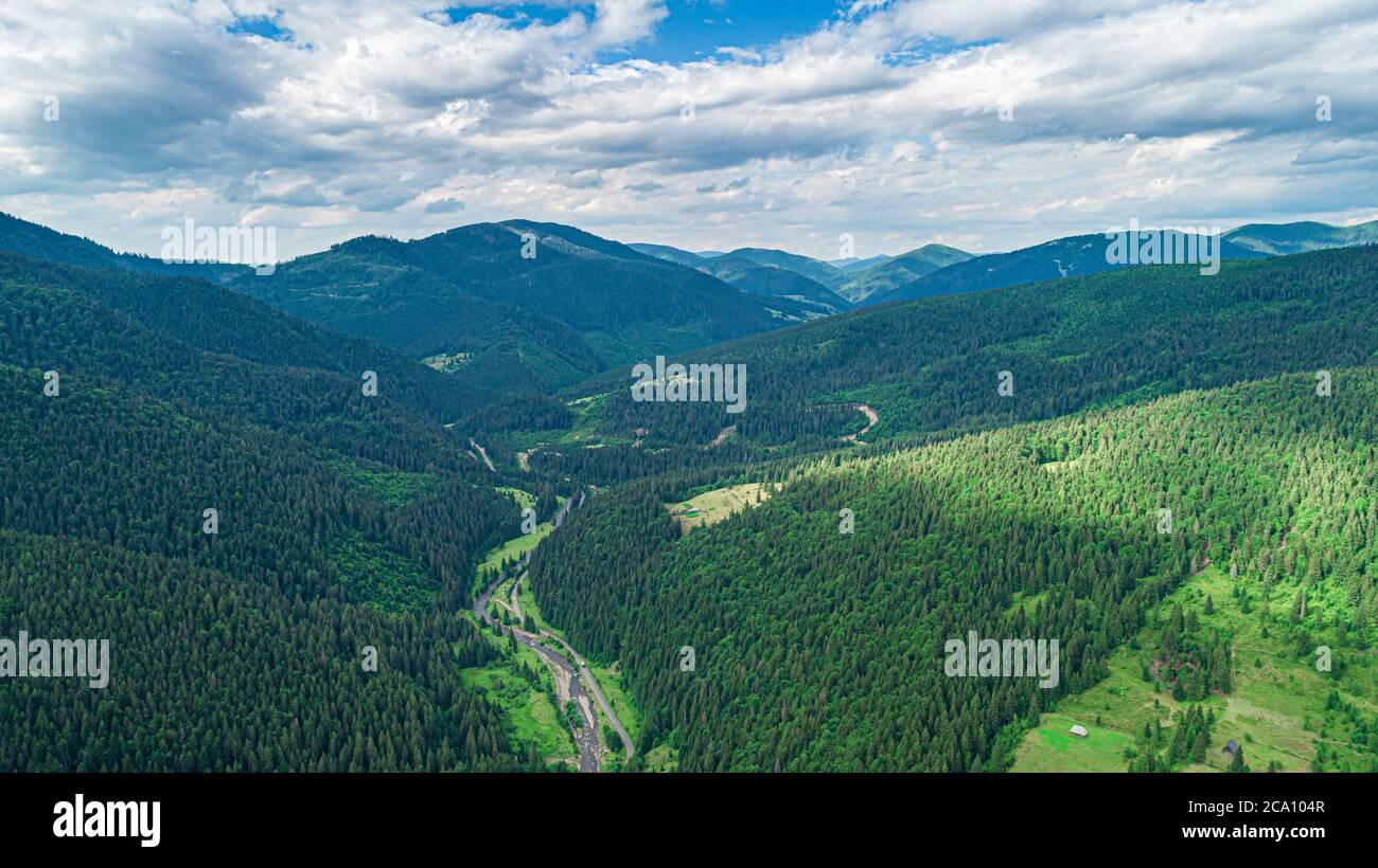 Beautiful pine trees on background high mountains Stock Photo - Alamy