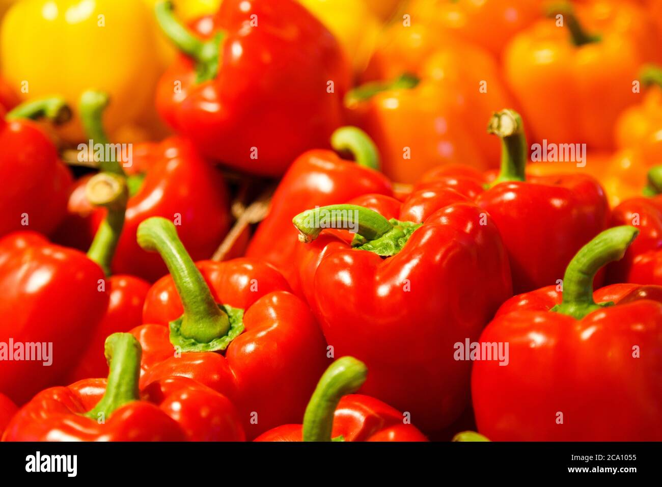 Colourful mix of different red, orange, yellow fresh bell pepper at market Stock Photo