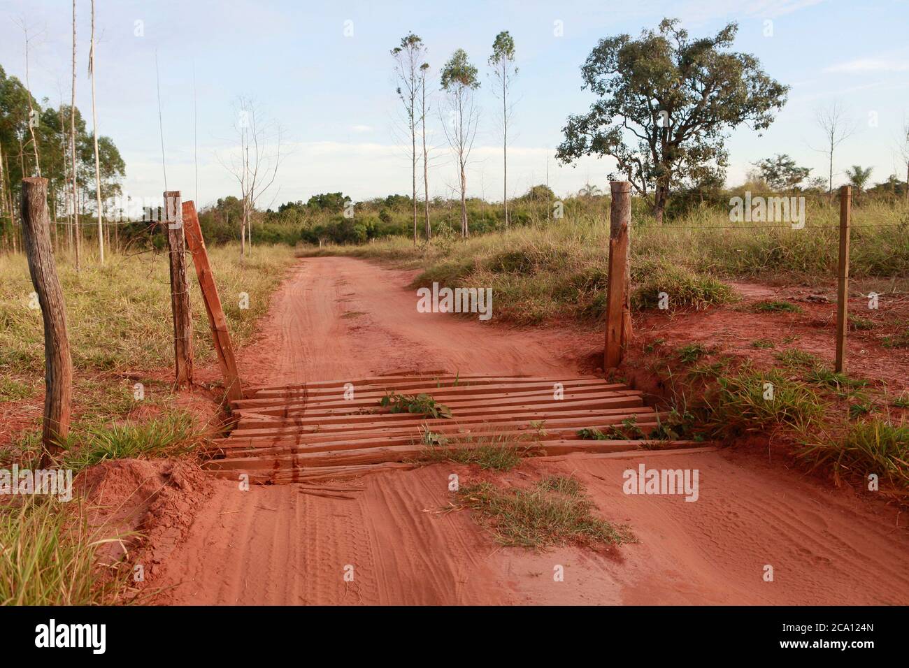 rural road with gate on countrsyde of Brazil Stock Photo - Alamy