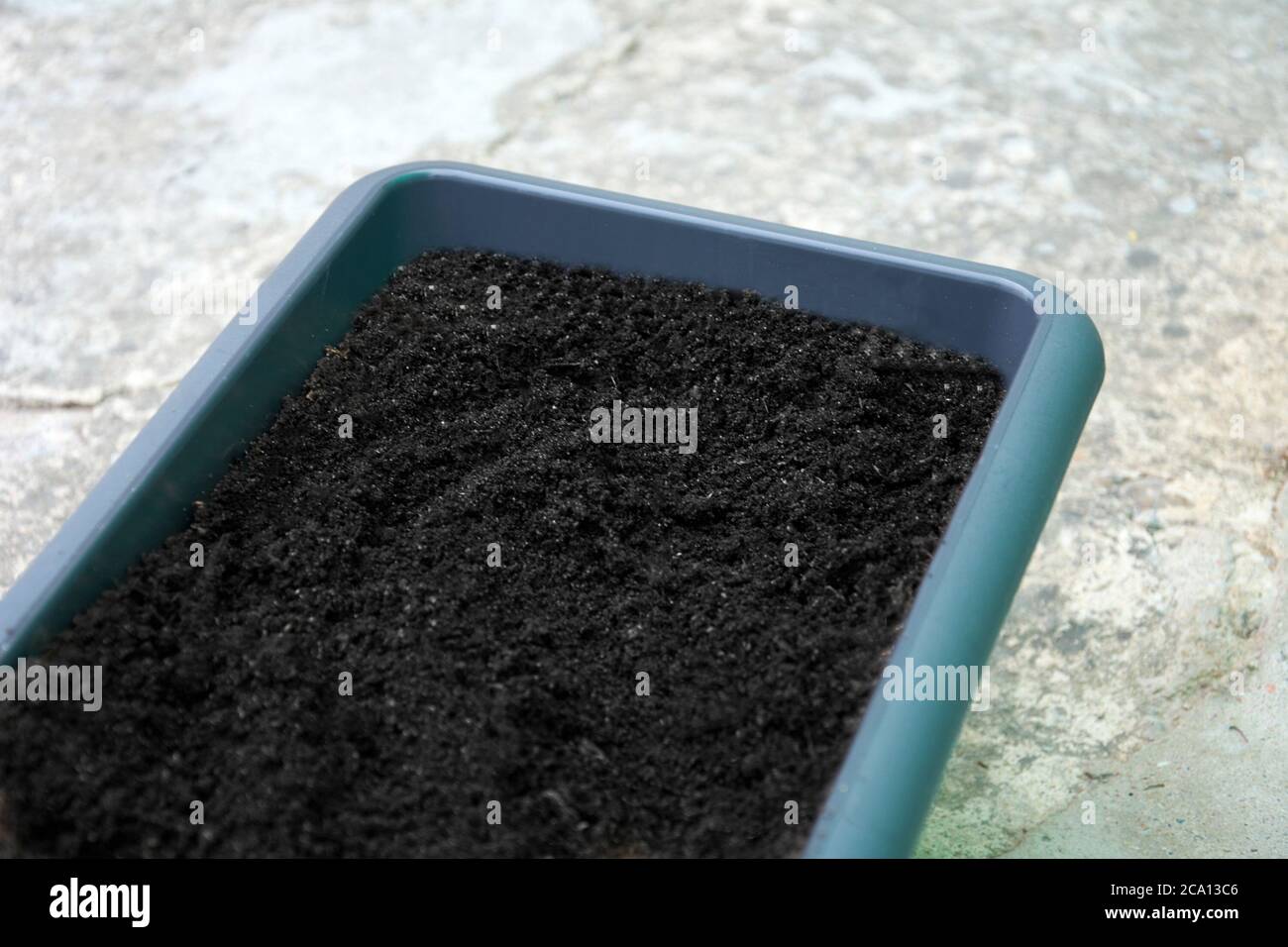 Plastic tray for planting vegetables and flowers with ground. Compost, enrichment soil. Selective focus Stock Photo