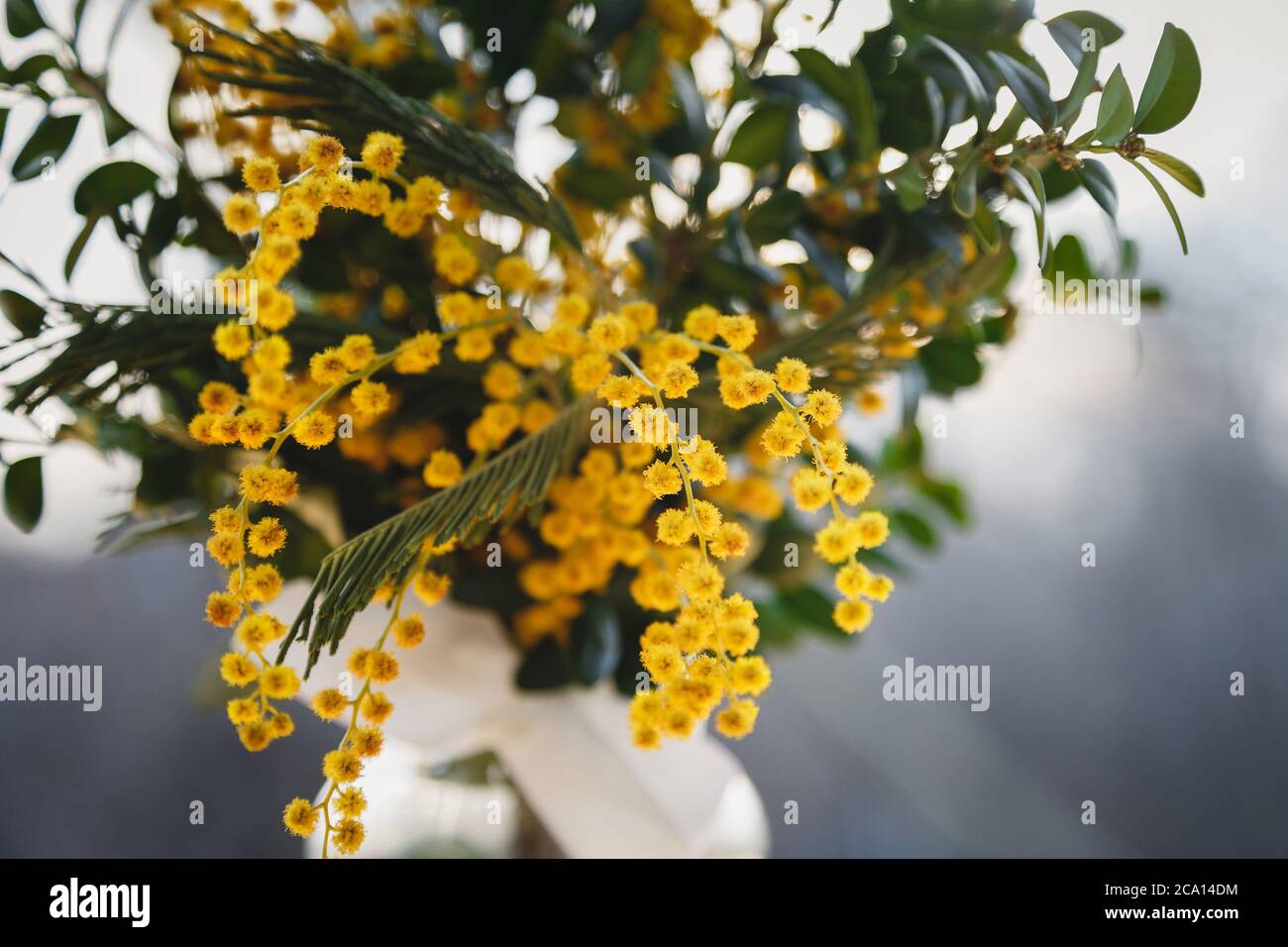 Mimosa bouquet hires stock photography and images Alamy