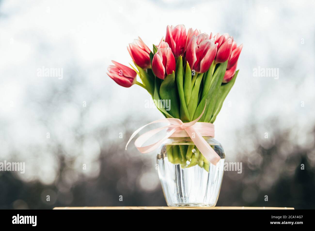 A bouquet of fresh pink tulips in a glass vase outdoors. Bunch of flowers Stock Photo