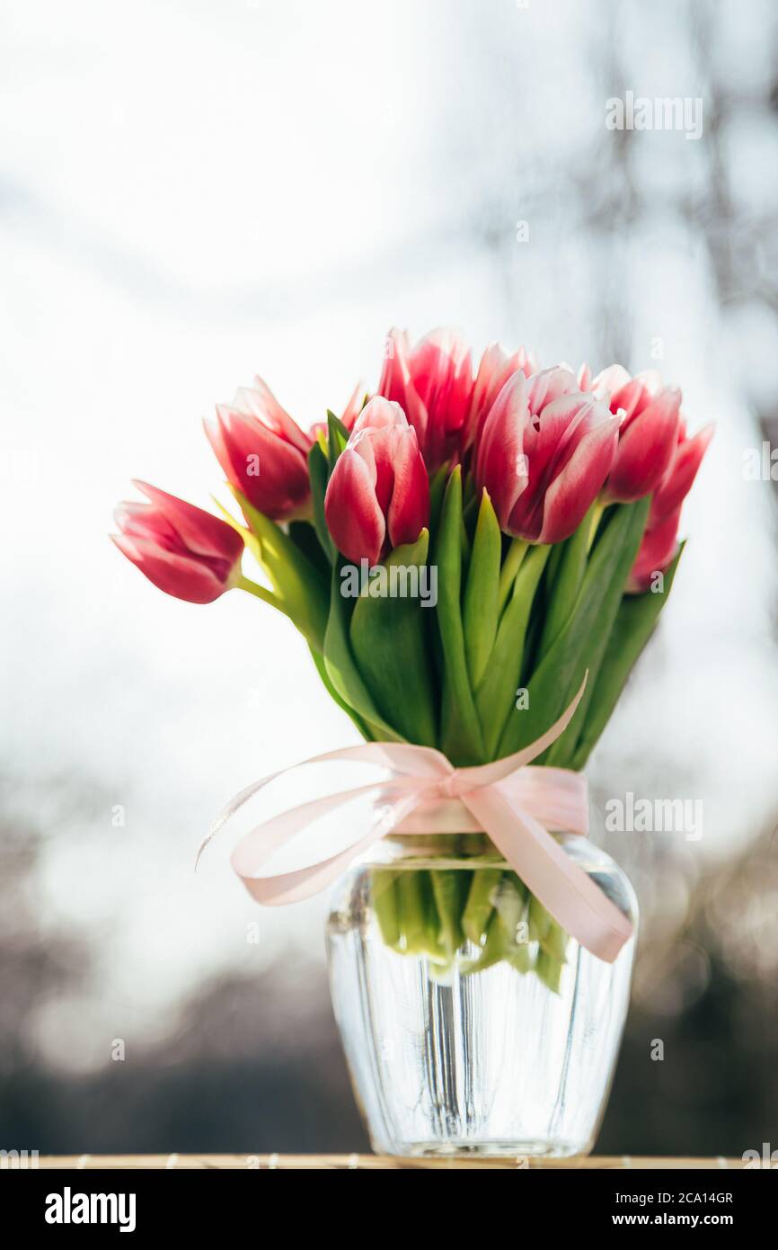 A bouquet of fresh pink tulips in a glass vase outdoors. Bunch of flowers Stock Photo