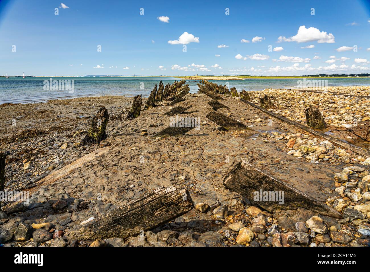 Abandoned wooden sea defenses Stock Photo