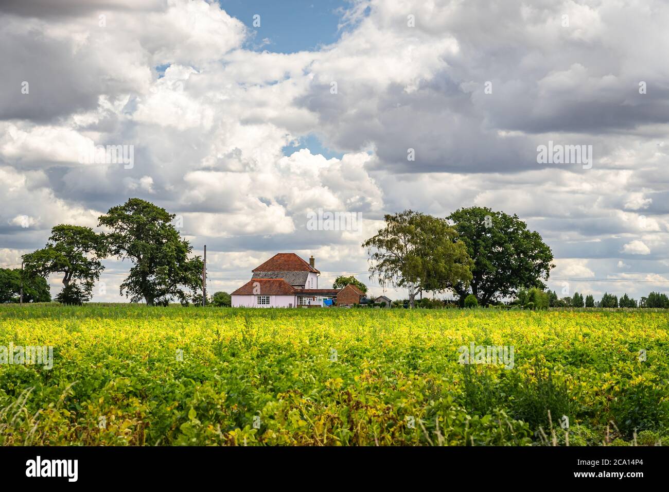 Farm builds and trees across fields Stock Photo