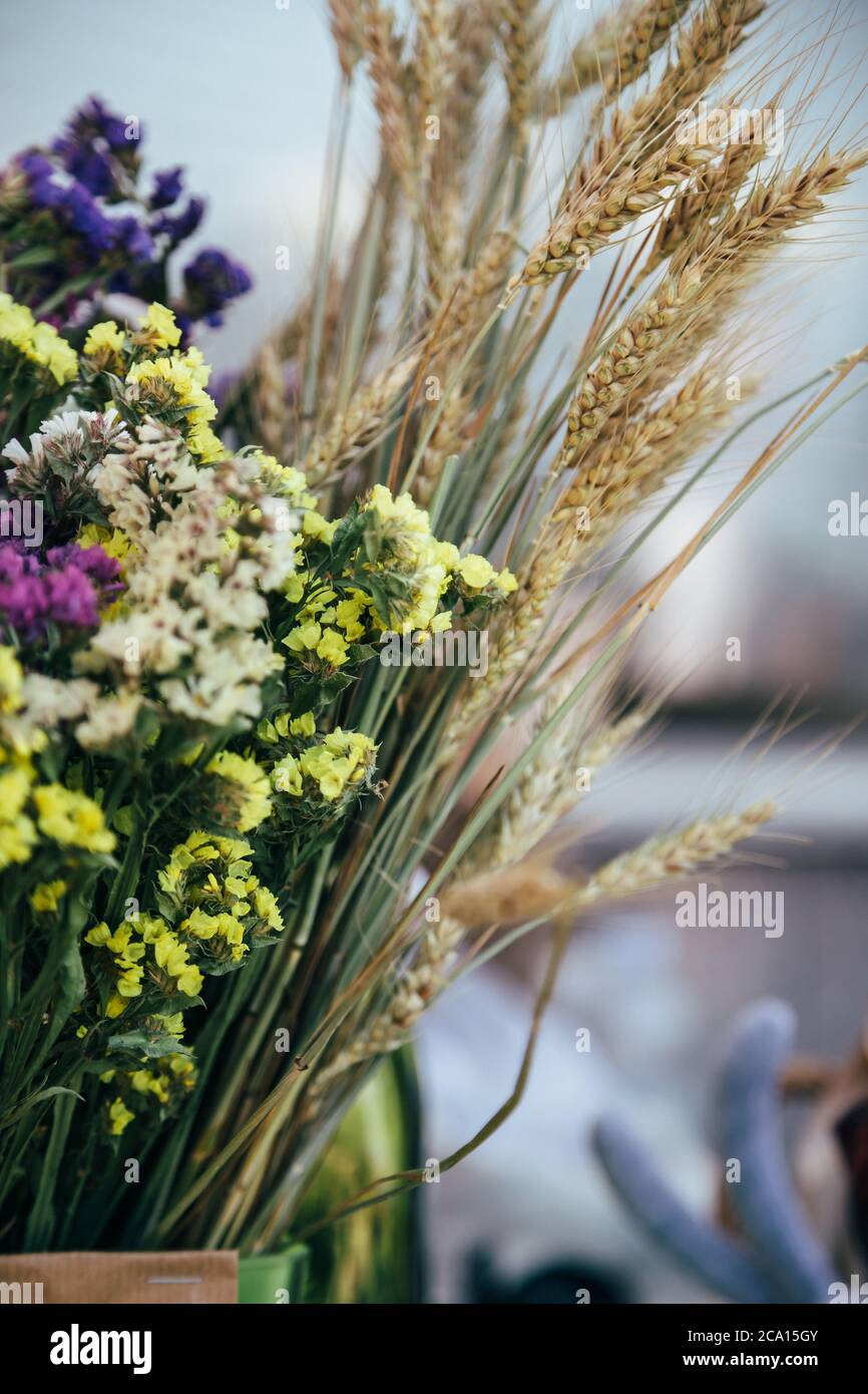 A bouquet of fresh multicolored statice salem or limonium sinuatum flowers in violet, pink, white, yellow colors and dry ears in a vase outdoors Stock Photo