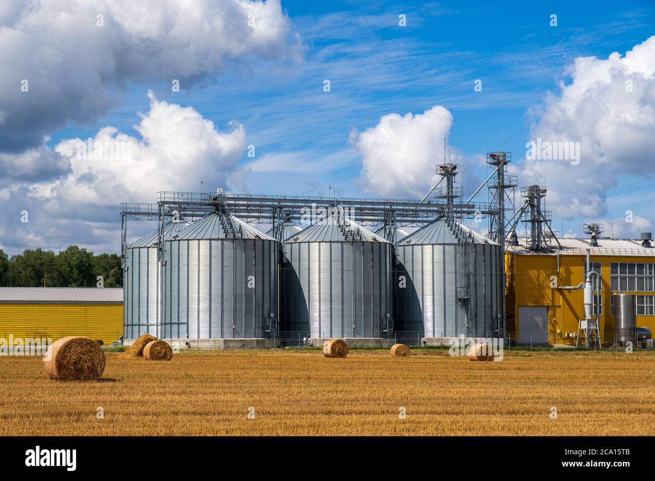 Granary elevator. Agro manufacturing plant for processing drying
