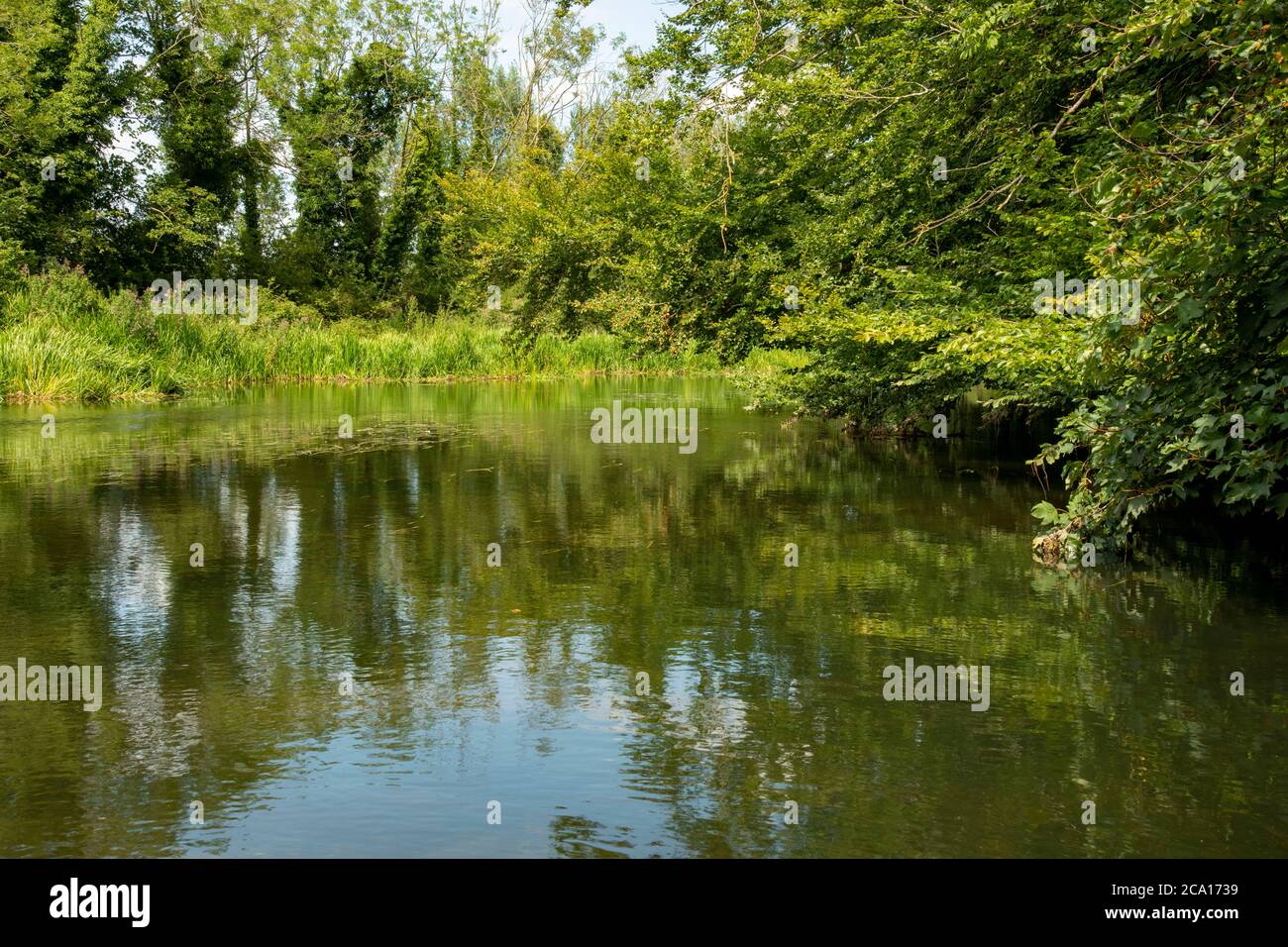 View from Horstead mill dam looking down river bure on a summers day Stock Photo
