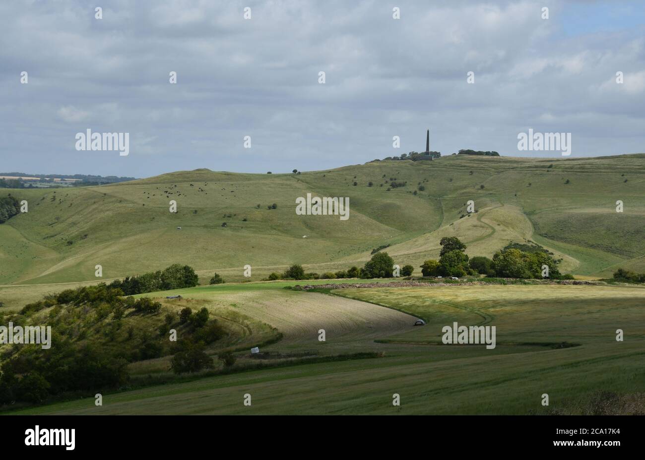 View from Morgans Hill towards the Lansdowne monument on Cherhill Down with Calstone Down in the foreground,Wiltshire.UK Stock Photo