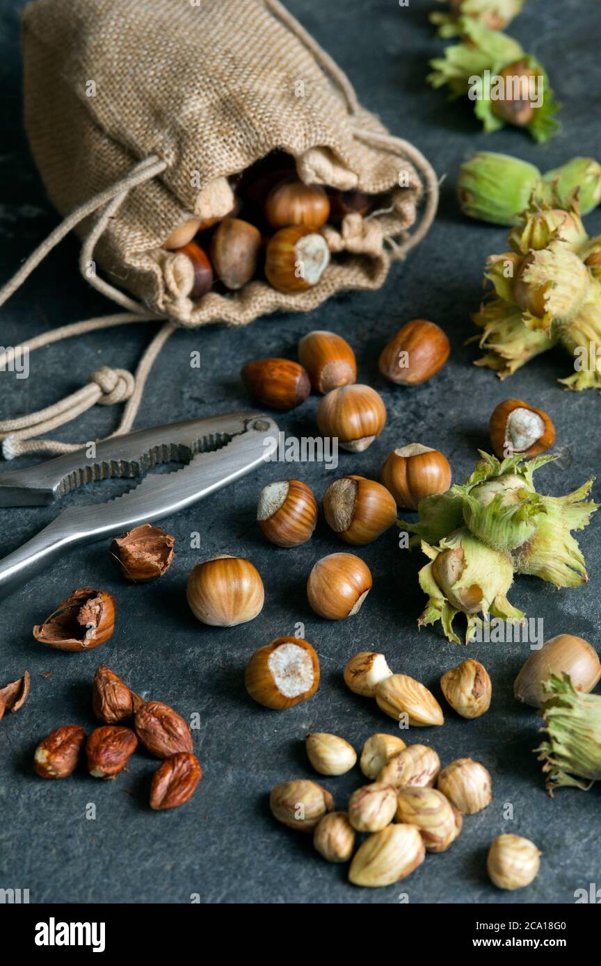 Cob nut nuts hires stock photography and images Alamy