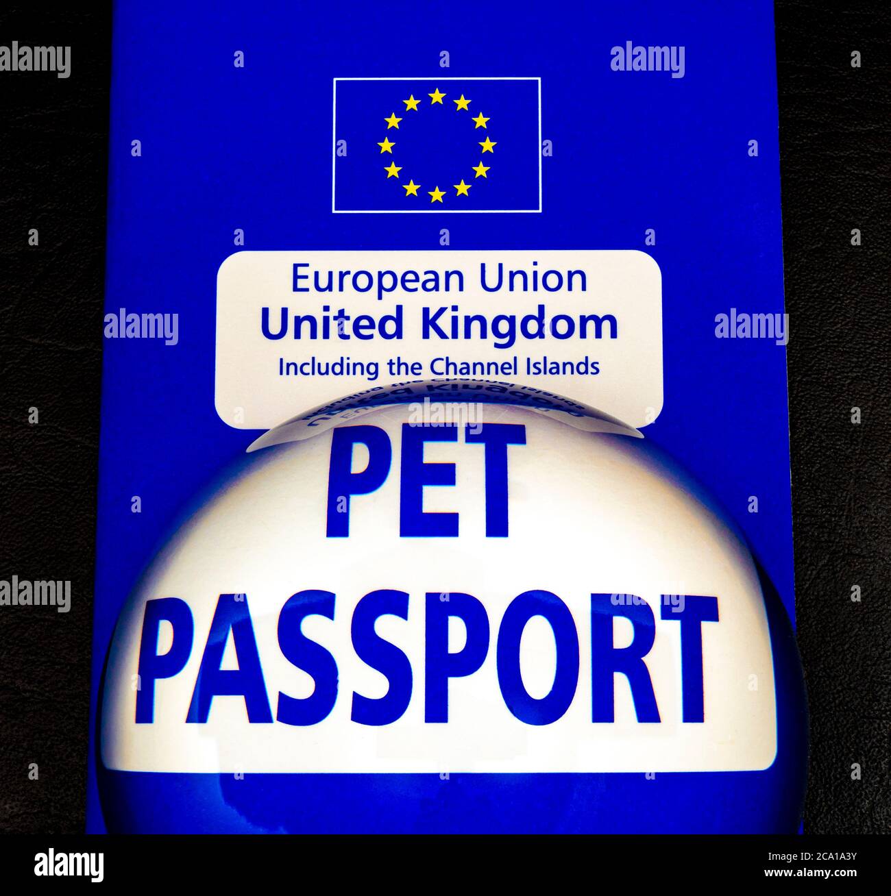 A dome magnifying glass on top of a vivid blue and white pet passport, used for travel to the UK from an EU country, for a dog, cat or ferret. Stock Photo